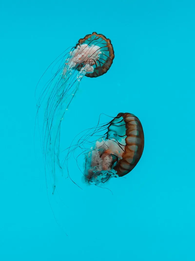 Su Sebili Temizliği