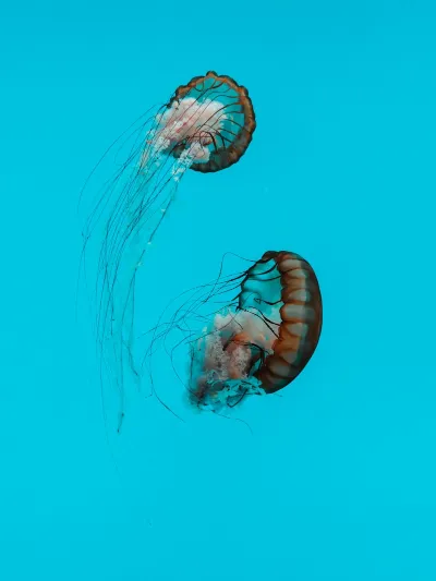 Su Sebili Temizliği